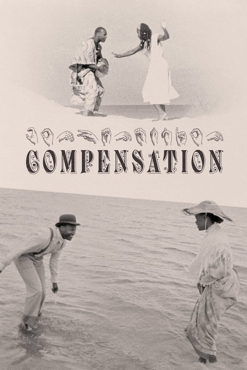 译名待核 海报