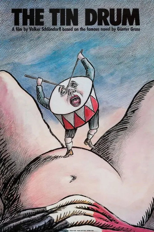 铁皮鼓 海报