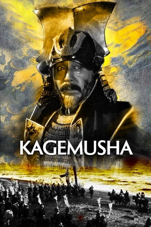 影子武士 海报
