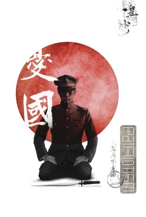 忧国 海报