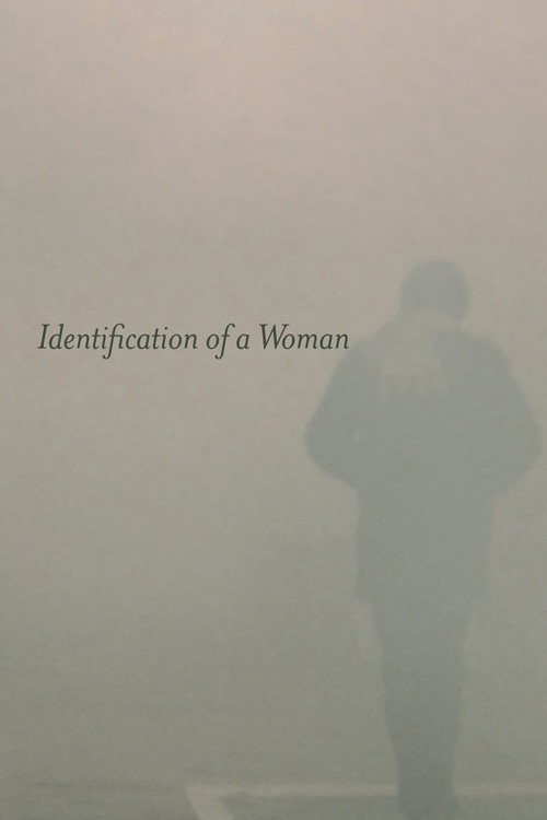 一个女人的身份证明 海报