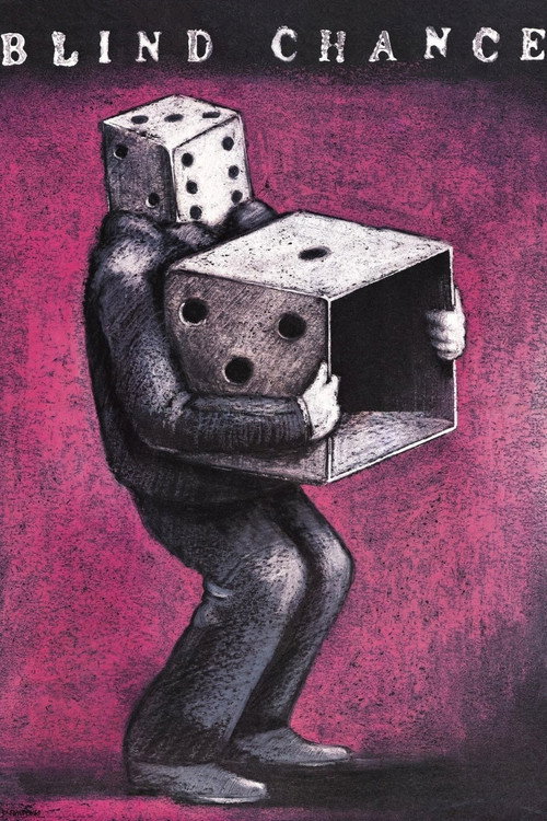 机遇之歌 海报