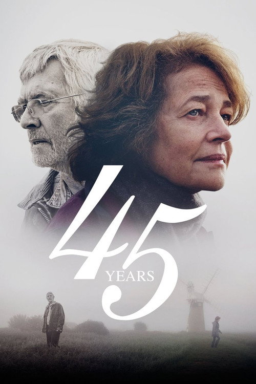 45周年 海报