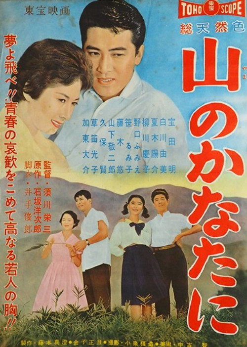 山之外 海报