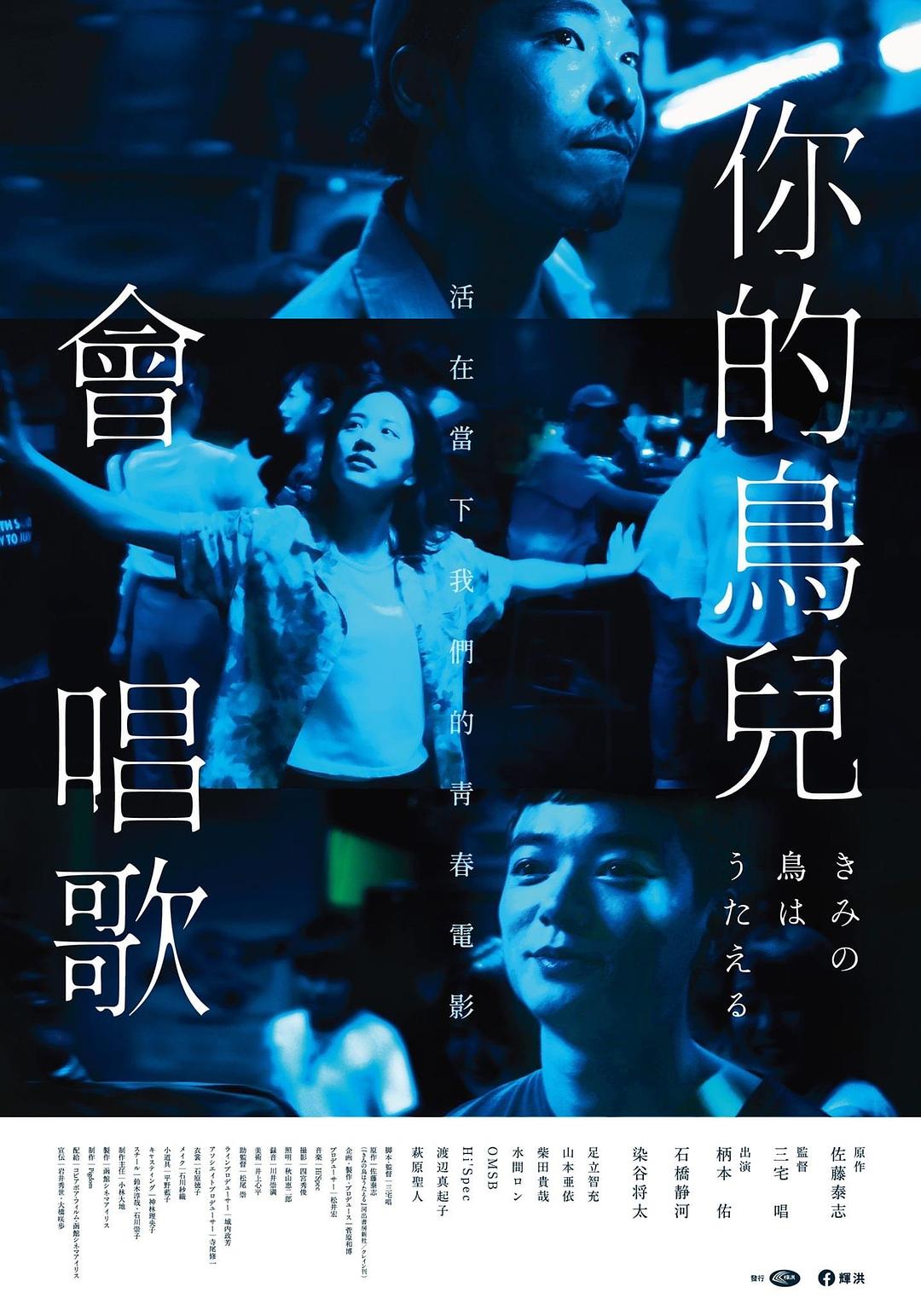 你的鸟儿会唱歌 海报