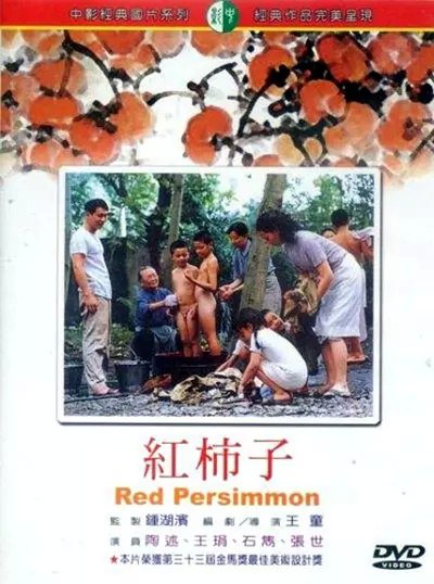 红柿子 海报