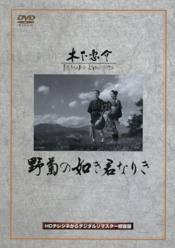 野菊之如你 海报