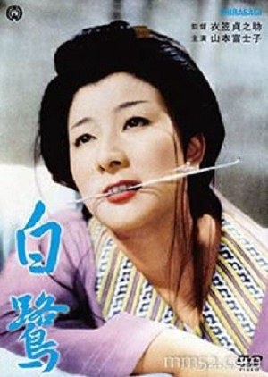 白鹭 海报