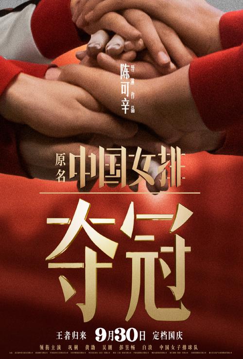 夺冠 海报
