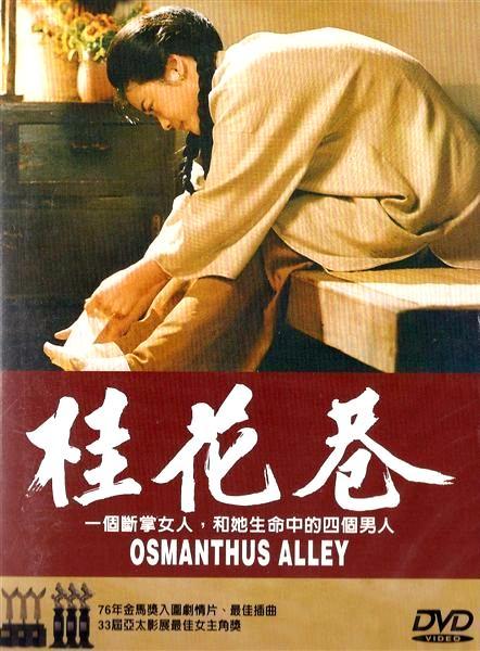 桂花巷 海报