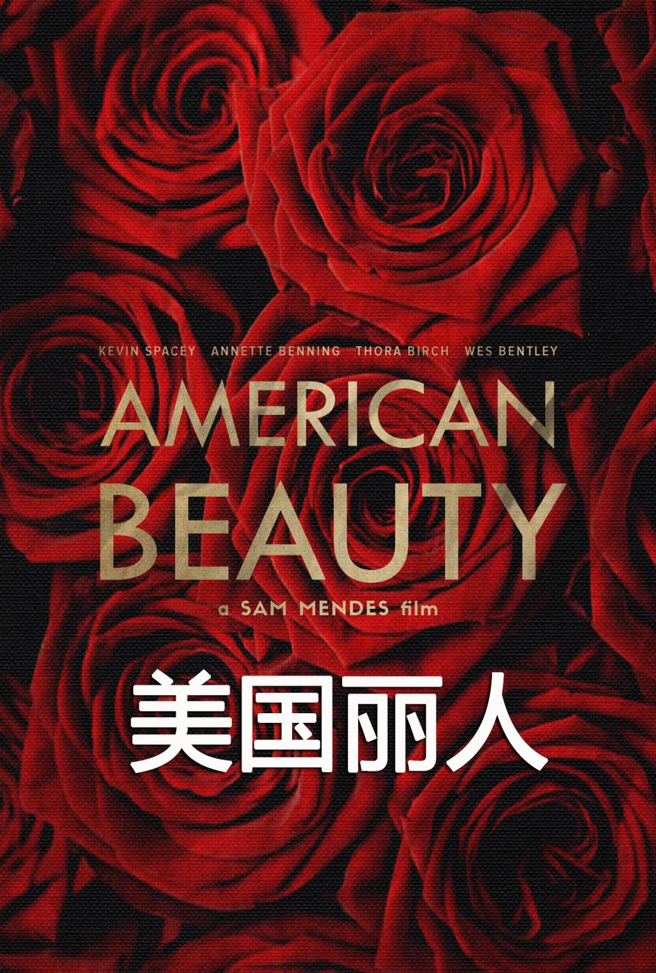 美国丽人 海报