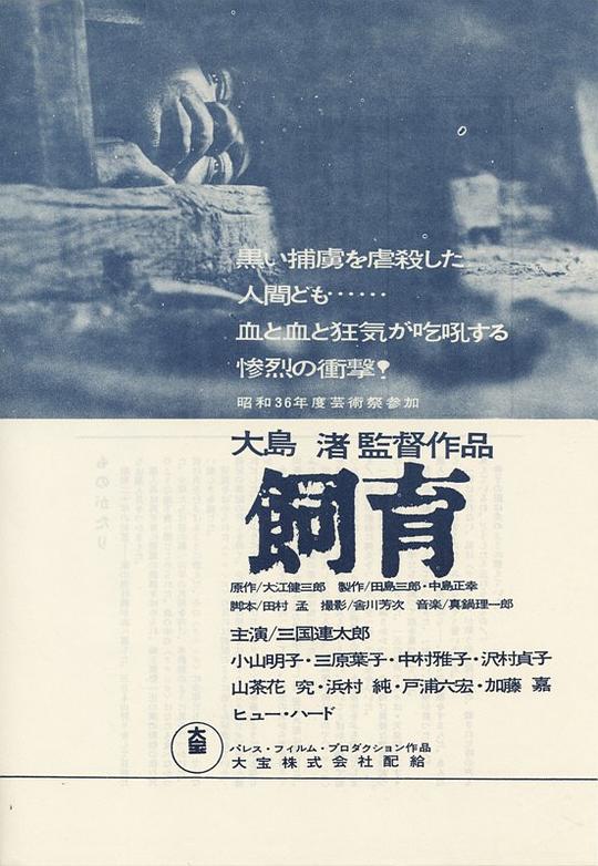 饲育 海报