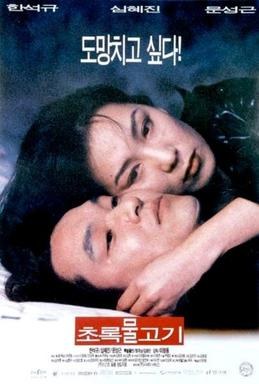 绿鱼 海报