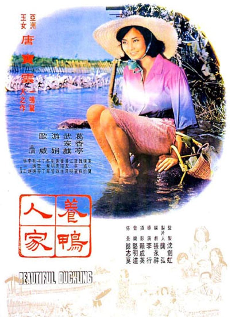 养鸭人家 海报