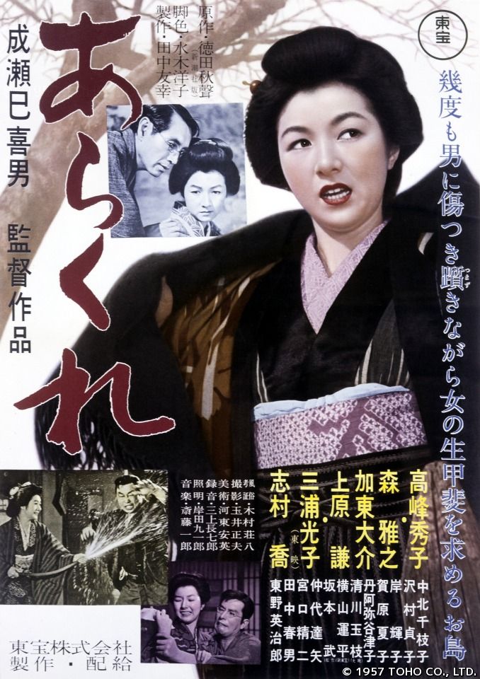 野性的女人 海报