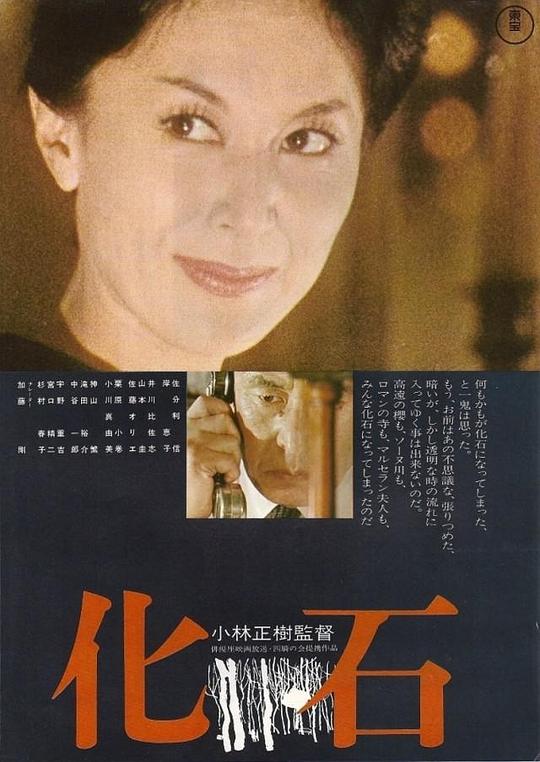 化石 海报