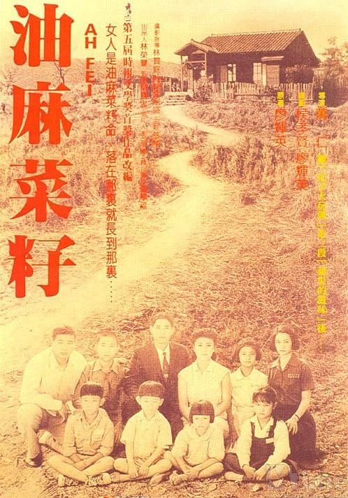 油麻菜籽 海报