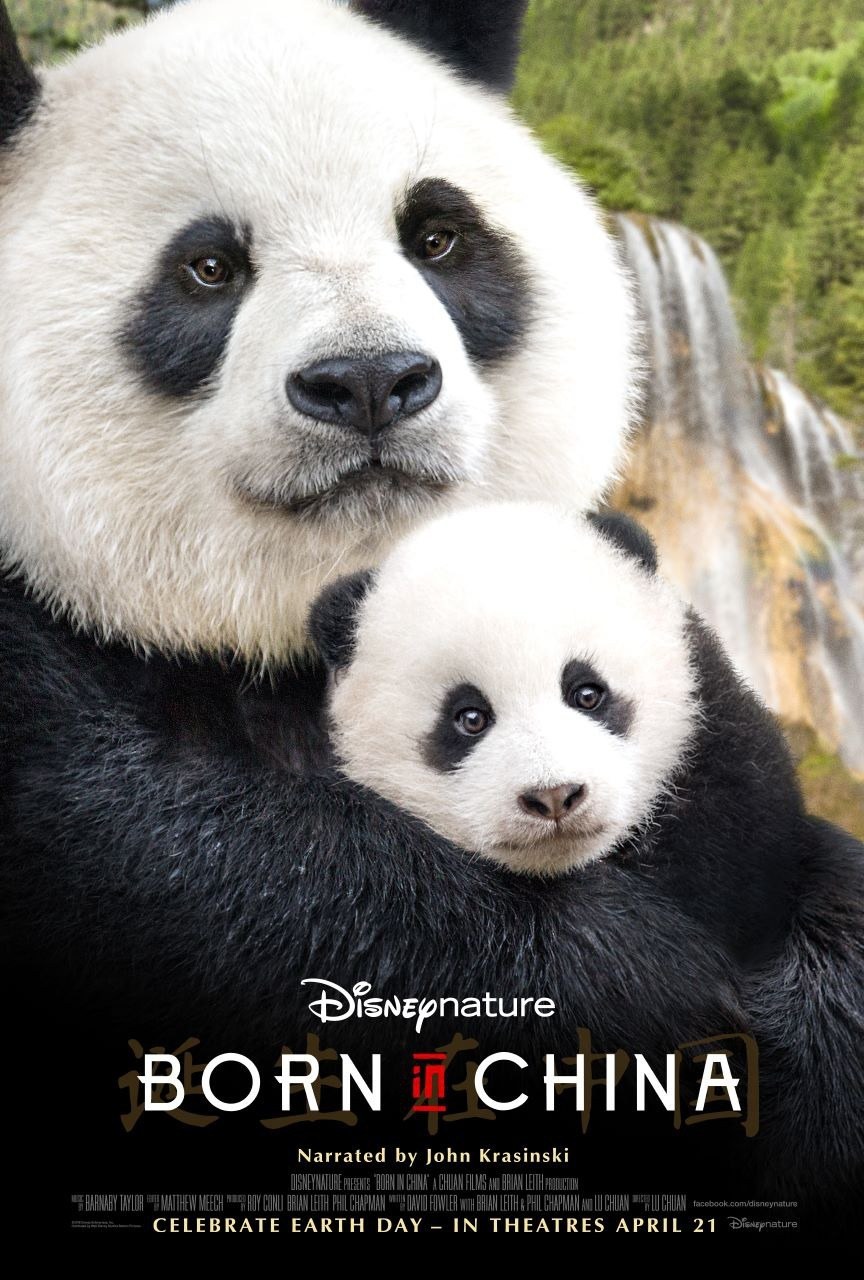 我们诞生在中国 海报