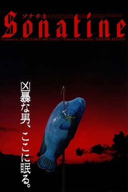 奏鸣曲 海报